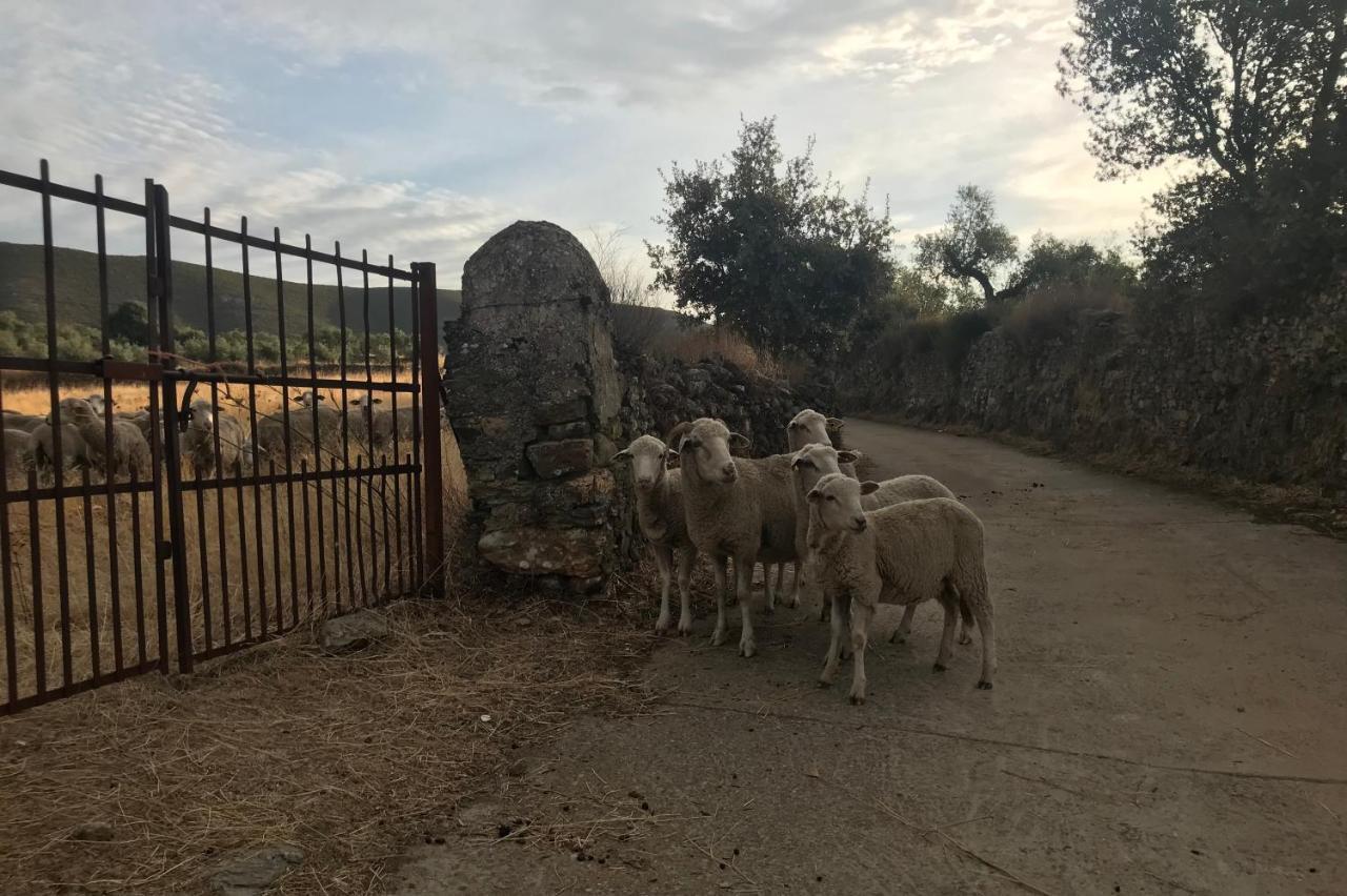 Los Naranjos Eco Home Apartamentos Rurales Casas de Millan Eksteriør bilde